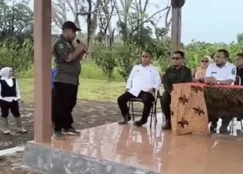 Pemkab SBT Kembangkan Breeding Center Namatimur Jadi Agrowisata