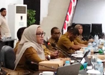 Seram Bagian Timur Hampir Bebas Blank Spot, Tersisa Satu Desa