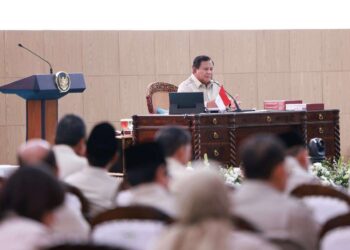 Indonesia Resmi Swasembada Beras, Cadangan Terbesar Sepanjang Sejarah