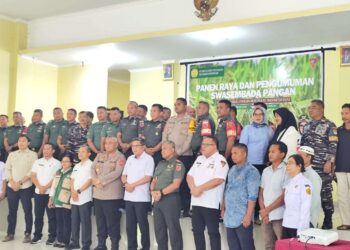 Ambon Capai Swasembada Pangan, Balai Diklat Pertanian Jadi Saksi Panen Raya