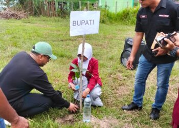 Bupati Fachri Hadiri Aksi Penanaman 1000 Pohon MAN 2 SBT