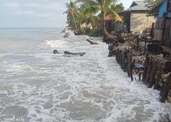 Belasan Rumah Rusak, Anggota DPRD SBT Soroti Abrasi Pantai di Pulau Gorom